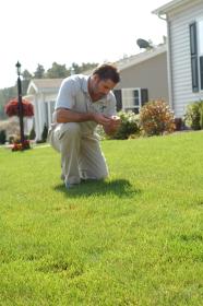 lawn care expert checking grass for spring lawn care in Hanover