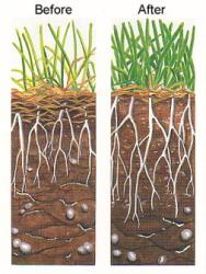 soil enrichment infographic