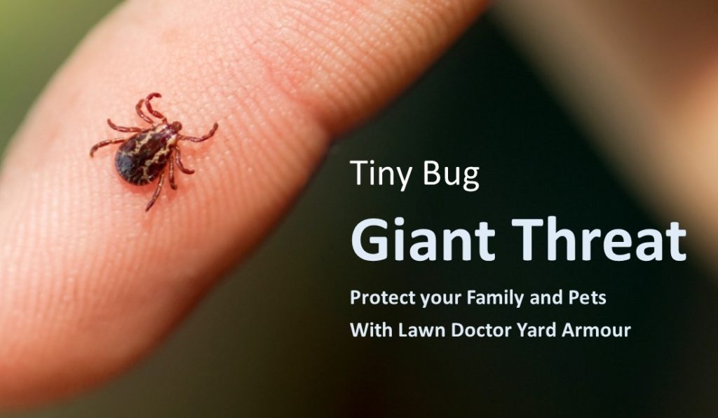 tick sitting on human hand