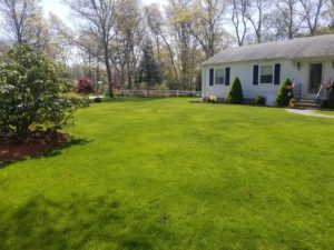 Lawn Fertilization in Hanson