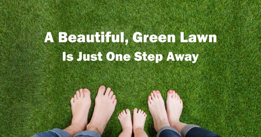 Beautiful Green lawn is one step away