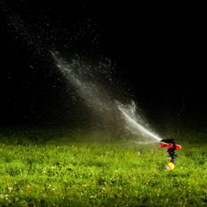 watering lawn at night