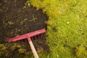 raking lawn with moss