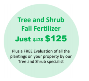 Tree and Shrub Fall Fertilizer Special