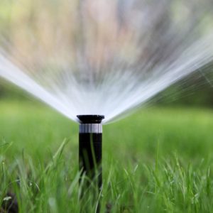 Lawn Doctor of South Shore Image of Irrigation Mistakes
