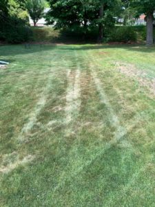 Lawn Doctor South Shore Cape Cod Rockland lawn