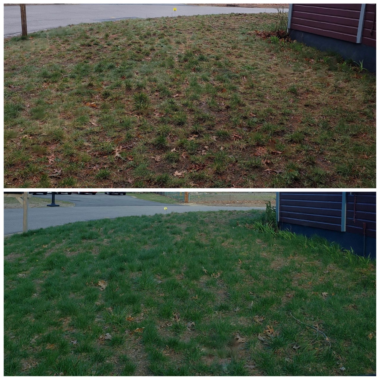 how-often-should-you-fertilize-your-lawn-in-massachusetts-lawn