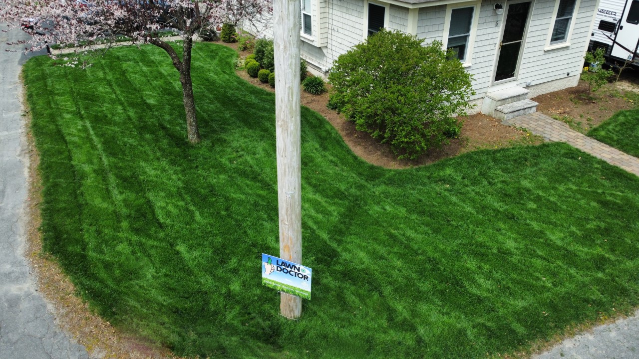 How Often Should You Fertilize Your Lawn in Massachusetts? Lawn