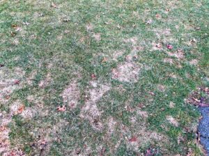 Local Lawn Care Service In Hanover