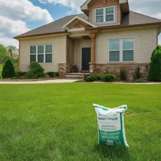 Mosquito Control in Provo: A Homeowner's Guide
