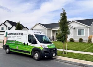 Lawn Maintenance in Provo