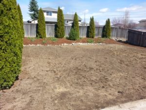 Lawn Fertilizer Service in Spokane