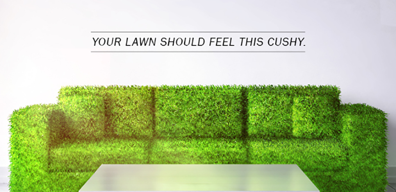 Post image couch covered in lawn grass