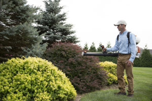 Best services of lawn care company in Strongsville
