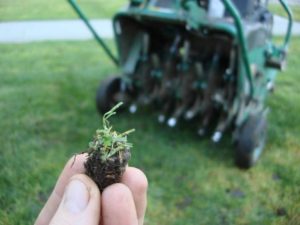 lawn doctor performing lawn aeration in Stow