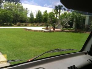 Picture of a front lawn showing lawn care in Summerville