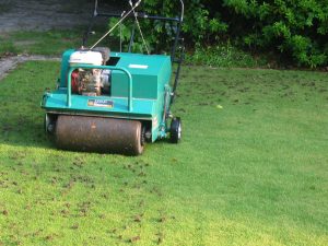 Mosquito Control in Goose Creek