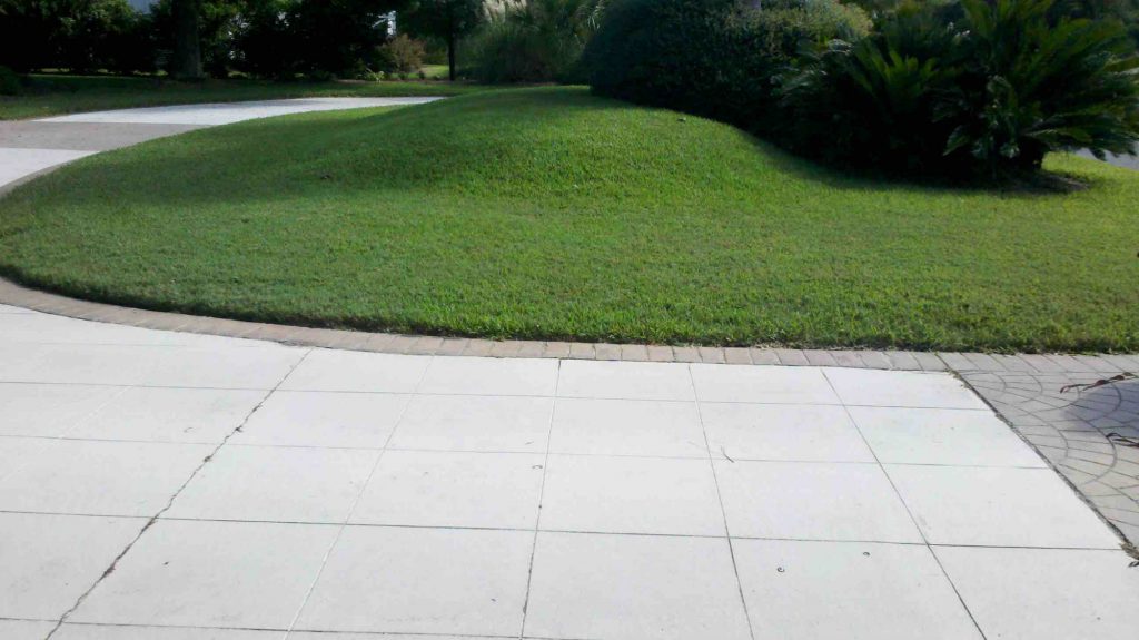 beautiful lawn in st augustine area showing work by lawn specialists in Mount Pleasant