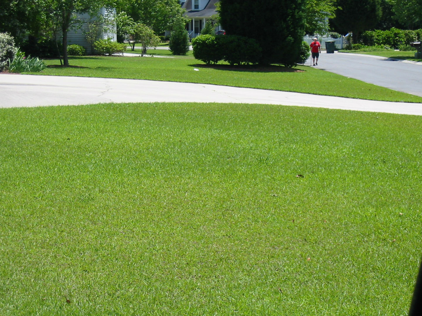 front lawn on sunny day in neighborhood showing work of lawn fertilizer services in Charleston