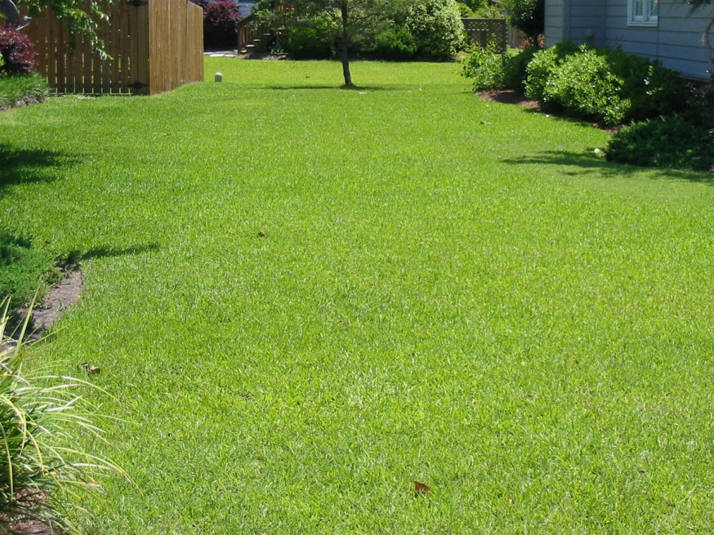 backyard on sunny day in neighborhood showing professional lawn care in Summerville