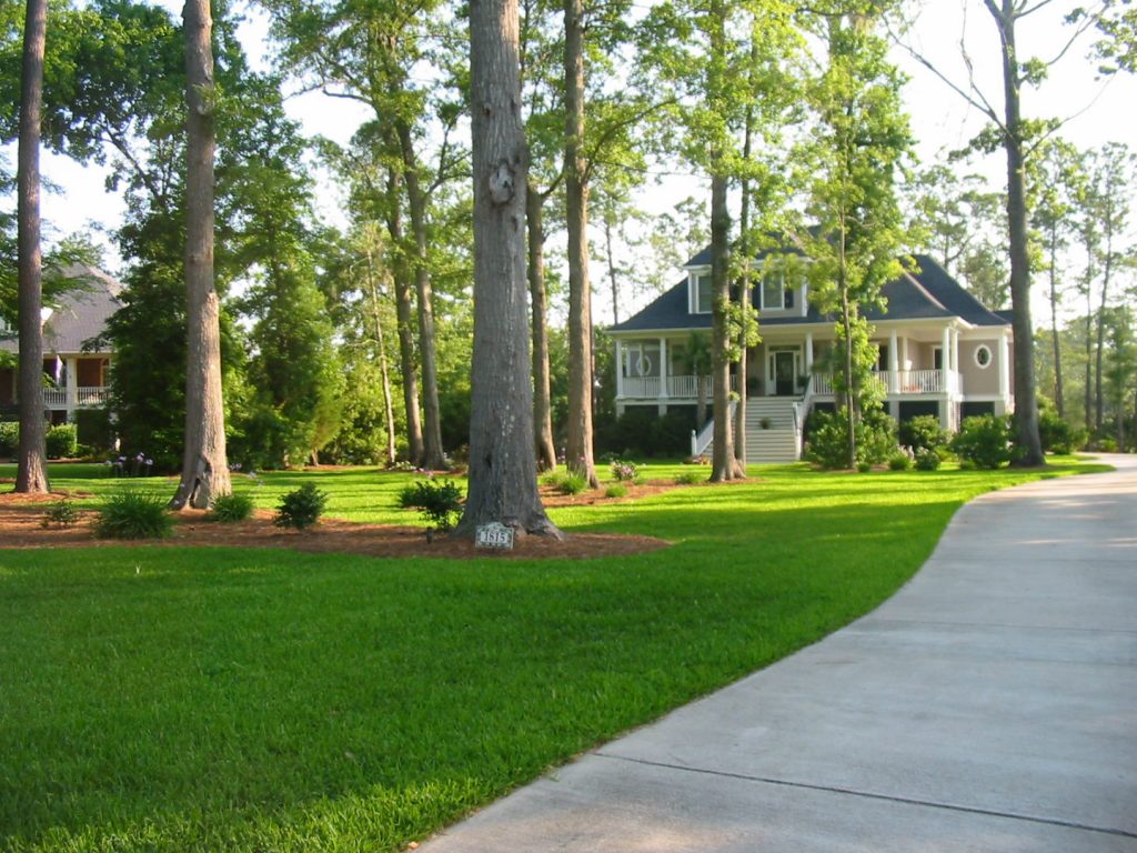 beautiful front yard before a house showing lawn care services in Charleston