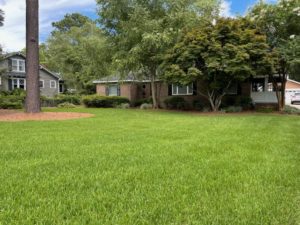 lawn fertilization company in West Ashley