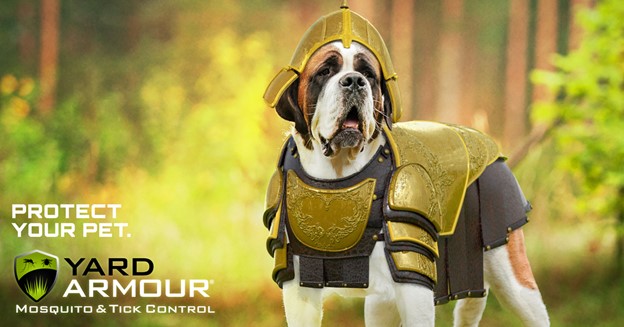 dog yard armour_charleston Post image dog yard armour_charleston