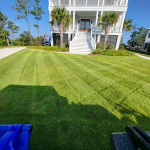 A Homeowner's Guide to Spring Lawn Care in Mount Pleasant