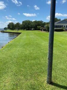 Mosquito Control in Bonney Lake