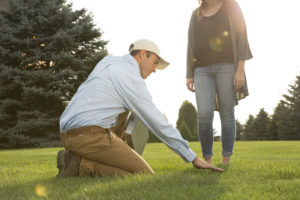 lawn service in Teaneck