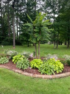 local lawn care services in Texarkana
