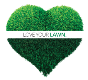 The Best Lawn Care in the Outer Banks.