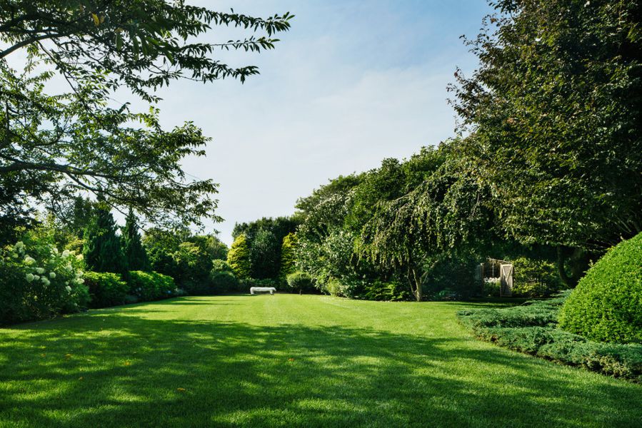 Huge green backyard showing lawn care services in The Hamptons