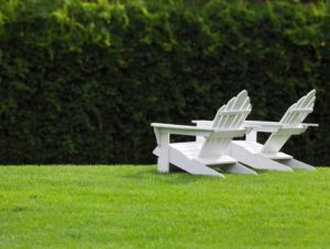 Local Lawn Care Service in The Hamptons