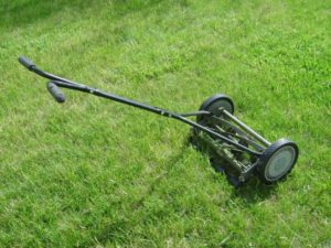 Weed Control Service in The Hamptons