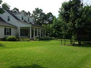 Very green front lawn showing lawn fertilization in The Woodlands