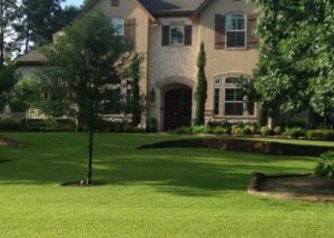 Beautiful front lawn of a big house showing lawn care in The Woodlands