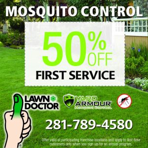 MosquitoTreatment50off