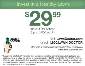 April 7_Lawn Doctor_Virginia_BACK COVER.indd