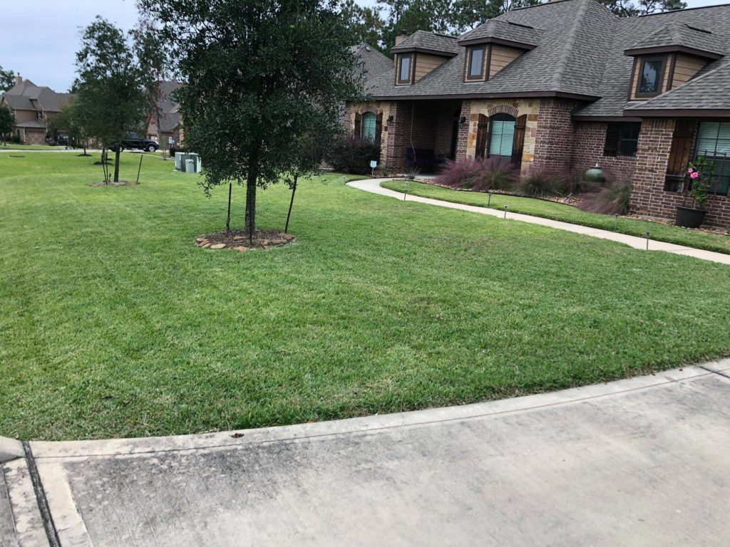 Beautiful yard in front of large house showing affordable lawn care in the Woodlands