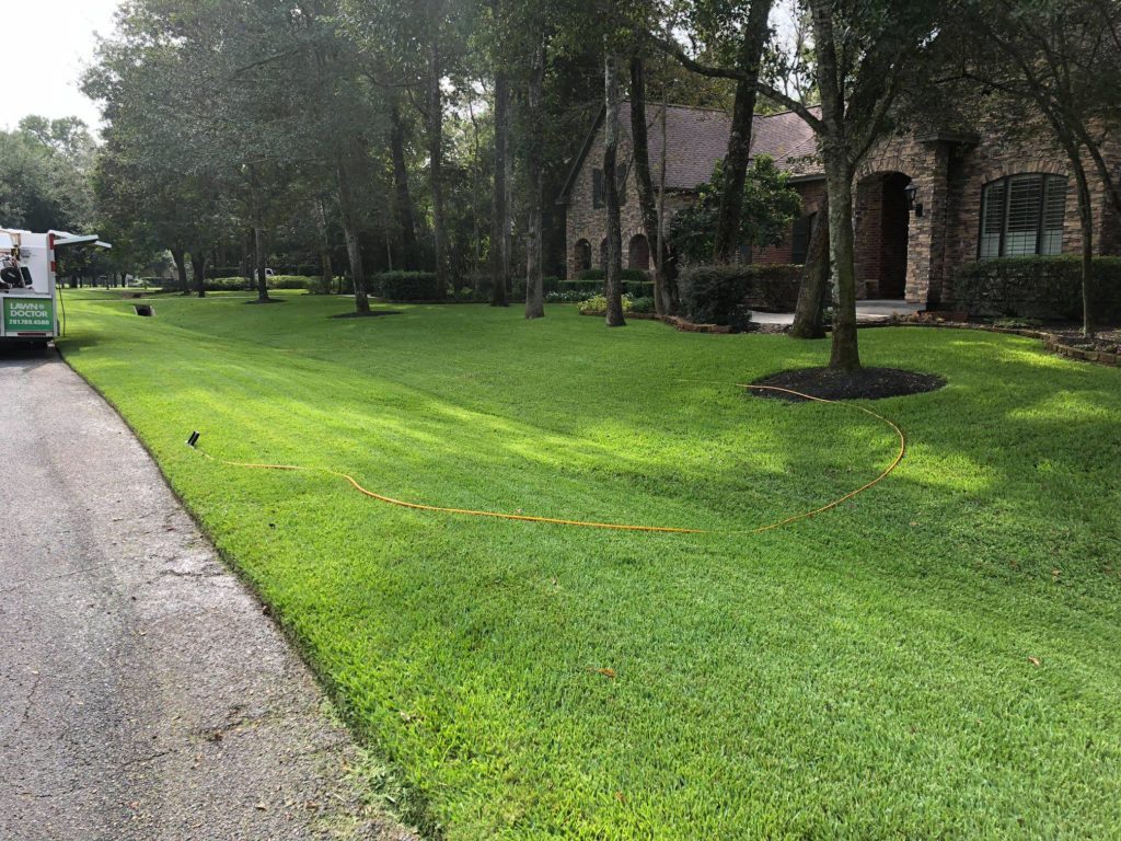 Large front lawn next to road showing yard service in Montgomery TX