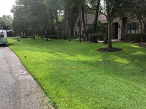 Lawn running up to the side of a road, showing the work by lawn care contractors in The Woodlands
