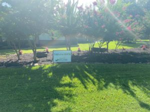 lawn weed control in Magnolia
