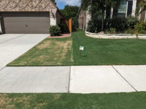 lawn treatment in Spring