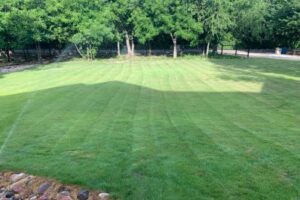 Local Lawn Care Service in Stephenville