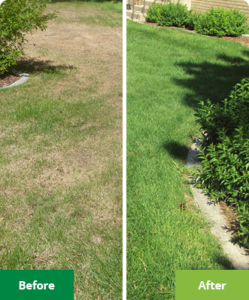 Lawn Treatment in Lindale