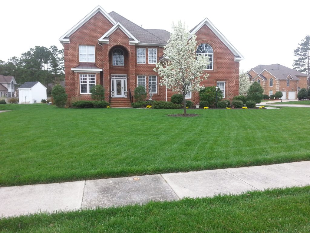 Beautiful lawn care service lawn in front of house