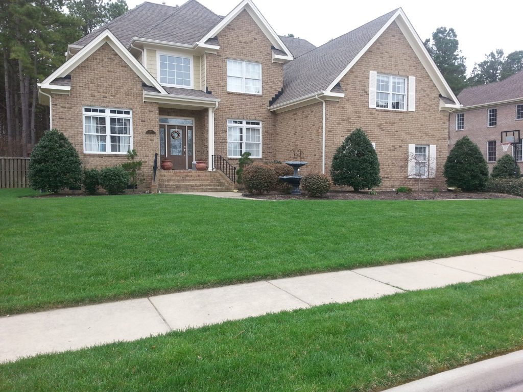 Fresh new lawn in front of house serviced by lawn care services