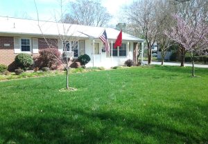 Beautiful front lawn showing lawn weed control in Virginia Beach