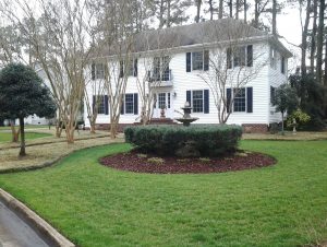 green grass and shrubbery treated by lawn services in Virginia Beach